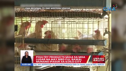 Poultry products mula sa mga lugar na may bird flu, bawal munang ipasok sa Iloilo City | UB