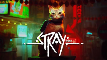 Stray - Teaser Trailer