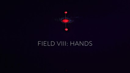 Richard Reed Parry - Field VIII: Hands (Audio)
