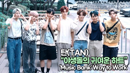 [TOP영상] 탄(TAN), 야생돌의 귀여운 하트(220708 뮤직뱅크출근길)