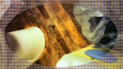 Cleaning cat box l trash l drive 2 DMV l relaxing music l Powerdirector.compressed