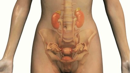 Bladder cancer: This change in your urine could be a sign