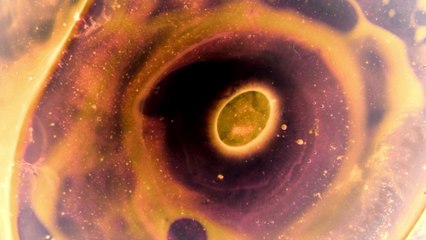 Gabríel Ólafs - Memory