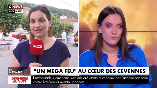 Le grand incendie qui a déjà brûlé plus de 600 hectares de végétation depuis hier soir dans le nord du Gard est toujours actif , selon les pompiers - VIDEO