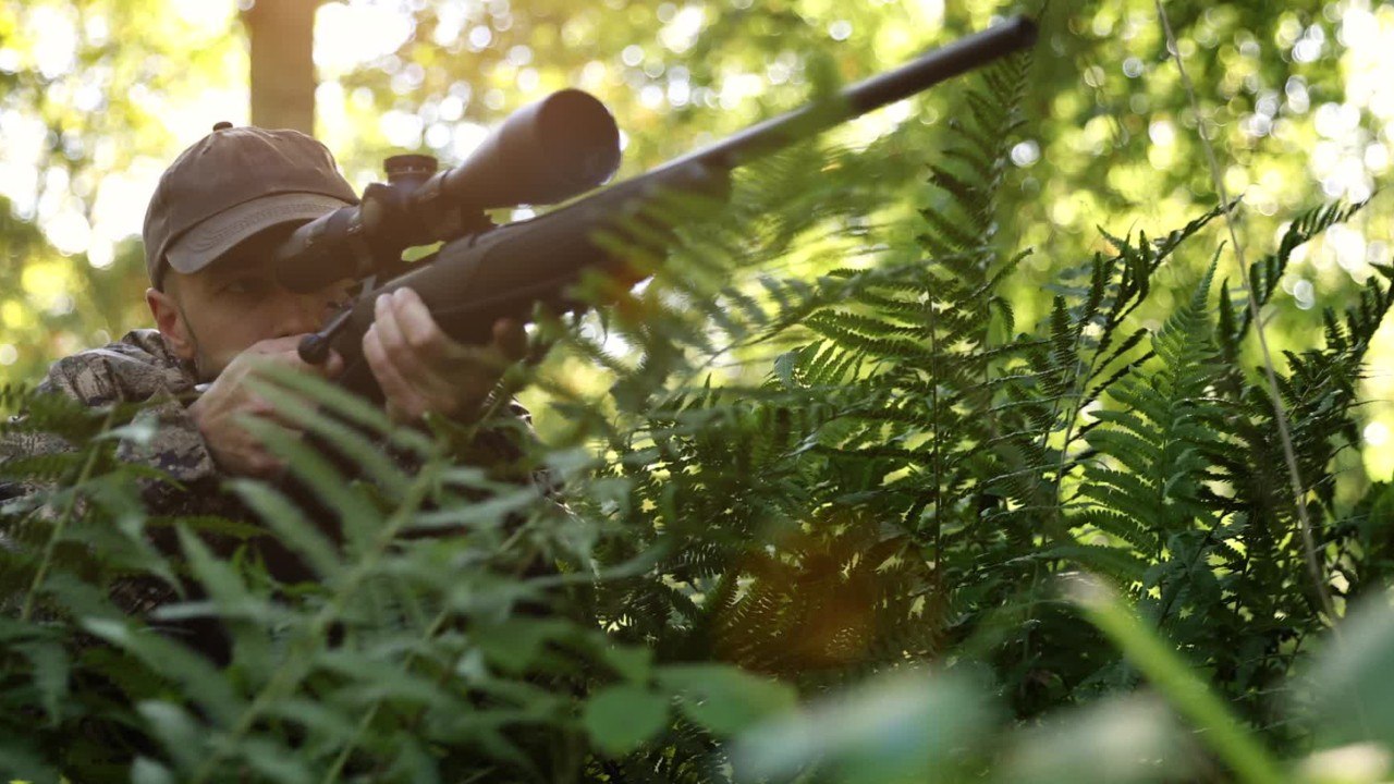 Trophy hunter who killed wild animals found executed in his car