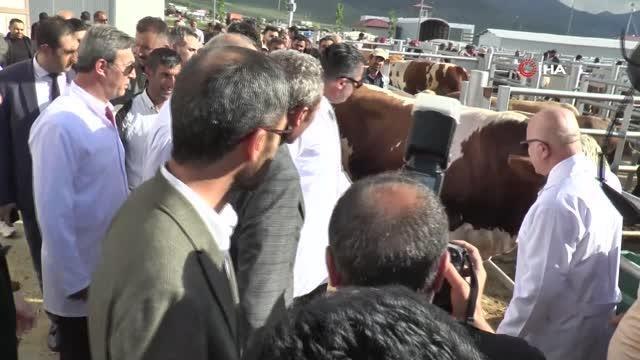 Erzurum Valisi Memiş ve Başkan Sekmen, Avrupa'nın en büyük canlı hayvan pazarında incelemelerde bulundu