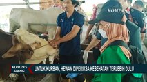 Pastikan Terhindar dari PMK, Petugas Cek Kesehatan Hewan Kurban yang Akan Dijual
