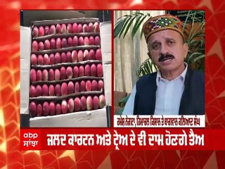 ਸ਼ਿਮਲਾ 'ਚ ਸੇਬਾਂ ਦੇ ਸੀਜ਼ਨ ਦੌਰਾਨ ਬਾਗਬਾਨਾਂ ਦੀਆਂ ਮੁਸ਼ਕਲਾਂ 'ਚ ਵਾਧਾ, ਜਾਣੋ ਕੀ ਹਨ ਸਰਕਾਰ ਦੀਆਂ ਤਿਆਰੀਆਂ