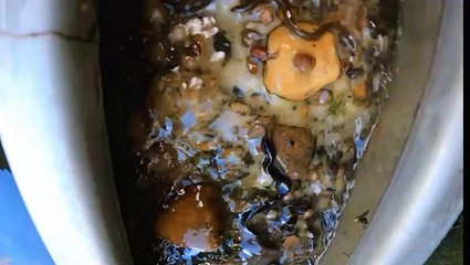 Eel pass Cloves Bridge Footage