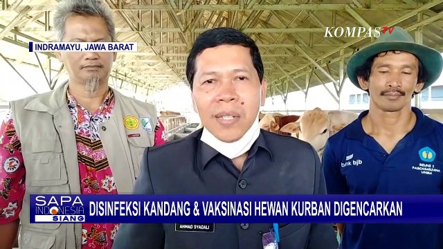 Cegah PMK, Petugas Rutin Disinfeksi Kandang dan Gencarkan Vaksinasi Hewan Kurban Jelang Idul Adha!
