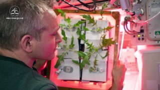 Using the challenges of space food production to help grow food on Earth