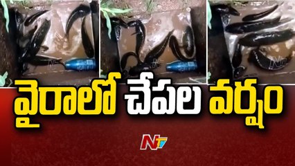 Fish Rain in Vaira Municipality _|Ntv