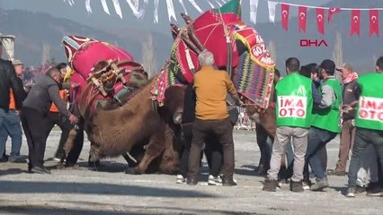 FİYATI 45 BİN LİRAYI BULAN KURBANLIK DEVEDE SATICILAR TALEBİ KARŞILAYAMIYOR