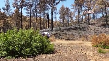 Marmaris'te Yanan Alanlarda Temizlik Yapıldı