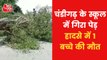 1 student died 13 injured after tree uprooted in school