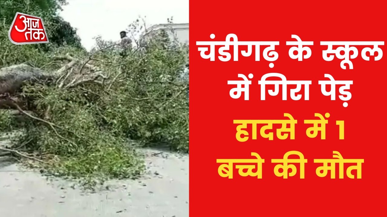 1 student died 13 injured after tree uprooted in school