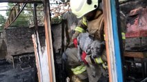 Avcılar’da alev alev yanan restorandan yavru köpeğin kurtuluşu