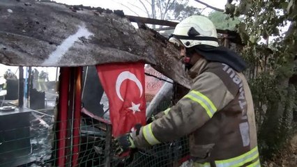 AVCILAR'DA ALEV ALEV YANAN RESTORANDAN YAVRU KÖPEĞİN KURTULUŞU