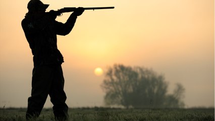 Trophy hunter who killed wild animals was fatally shot in south africa