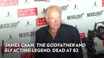 James Caan, 'The Godfather' and 'Elf' Acting Legend, Dead at 82 - PEOPLE