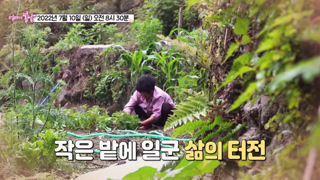지리산 하늘 아래 사랑 걸렸네_엄마의 봄날 356회 예고 TV CHOSUN 220710 방송