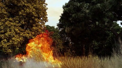 Combattre les feux de forêt
