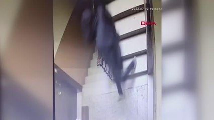 İSTANBUL-BAHÇELİEVLER'DE EVDEN ZİYNET EŞYALARINI ÇALAN İKİ ŞÜPHELİ YAKALANDI