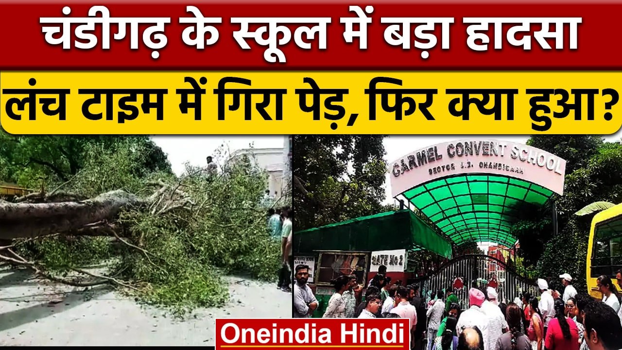 Chandigarh में हादसा, स्कूल में बच्चों पर गिरा...
