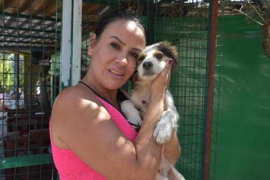 KURTARILMIŞ ÇİFTLİK HAYVANLARI BARINAĞI'NA YANGIN VE SEL BÖLGESİNDEN 58 CAN DOSTU