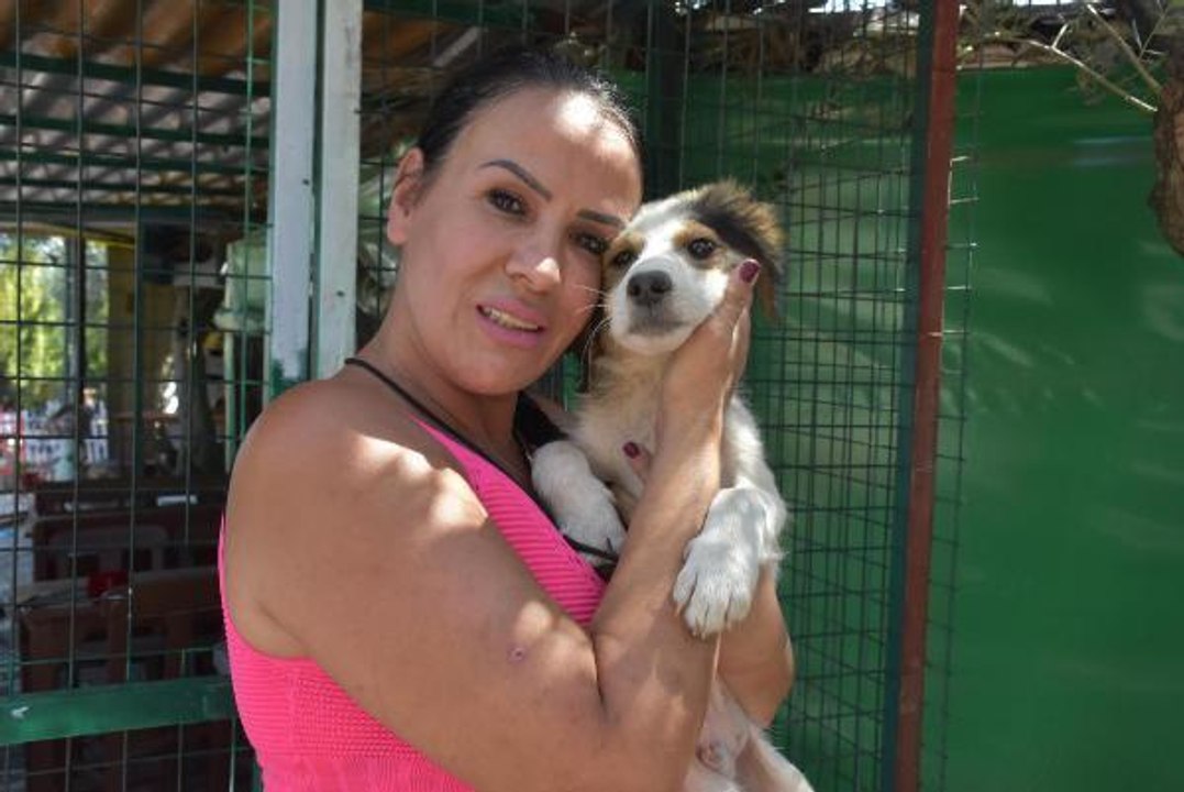 KURTARILMIŞ ÇİFTLİK HAYVANLARI BARINAĞI'NA YANGIN VE SEL BÖLGESİNDEN 58 CAN DOSTU