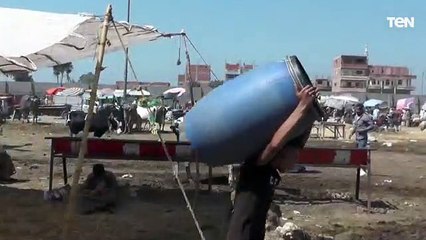 سوق الأضاحي بالزقازيق يجتذب المشترين.. ورضا من المواطنين من الأسعار هذا العام