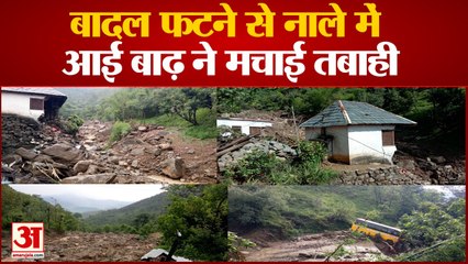बारिश ने बरपाया कहर, पशु बहे, कृ​षि भूमि भी तबाह | Cloud Burst in Bilaspur Ghumarwin Himachal