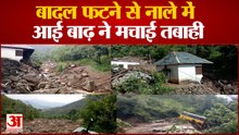 बारिश ने बरपाया कहर, पशु बहे, कृ​षि भूमि भी तबाह | Cloud Burst in Bilaspur Ghumarwin Himachal