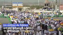 Des fidèles musulmans prient sur le mont Arafat, point culminant du hajj