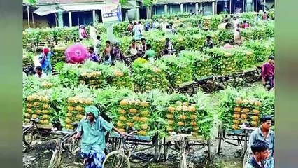 Bangladeshi fruits, বাংলাদেশের কিছু ফলের ছবি ২০২১ upload by basic dhamaka - YouTube