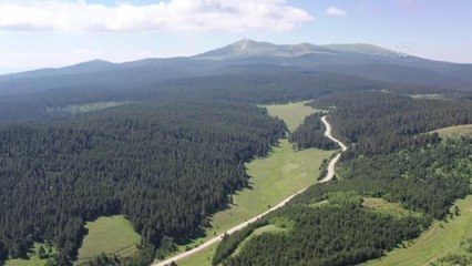 (DRON) Ormanlık alanlara girişler 1 Ekim'e kadar yasaklandı