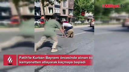 Fatih’te kaçan kurbanlık koyunlar yakalandı