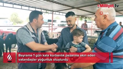 Kurban pazarında kıran kırana pazarlıklar