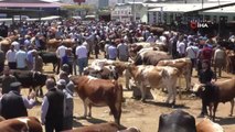 Malatya kurban pazarında arefe yoğunluğu