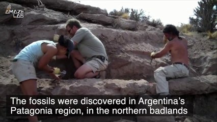 Tiny-Armed Dinosaur Bigger Than T-Rex Unearthed in Argentina