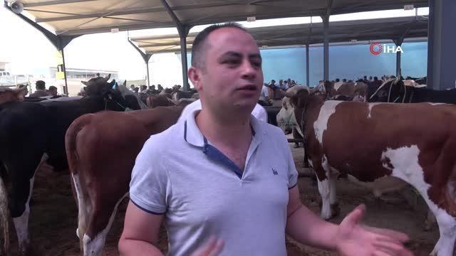 Kurban pazarında arefe yoğunluğu