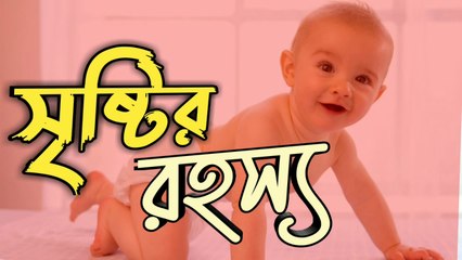 ঐ বিষয় কি যার জন্য আল্লাহ মানুষ সৃষ্টি করেছেন
