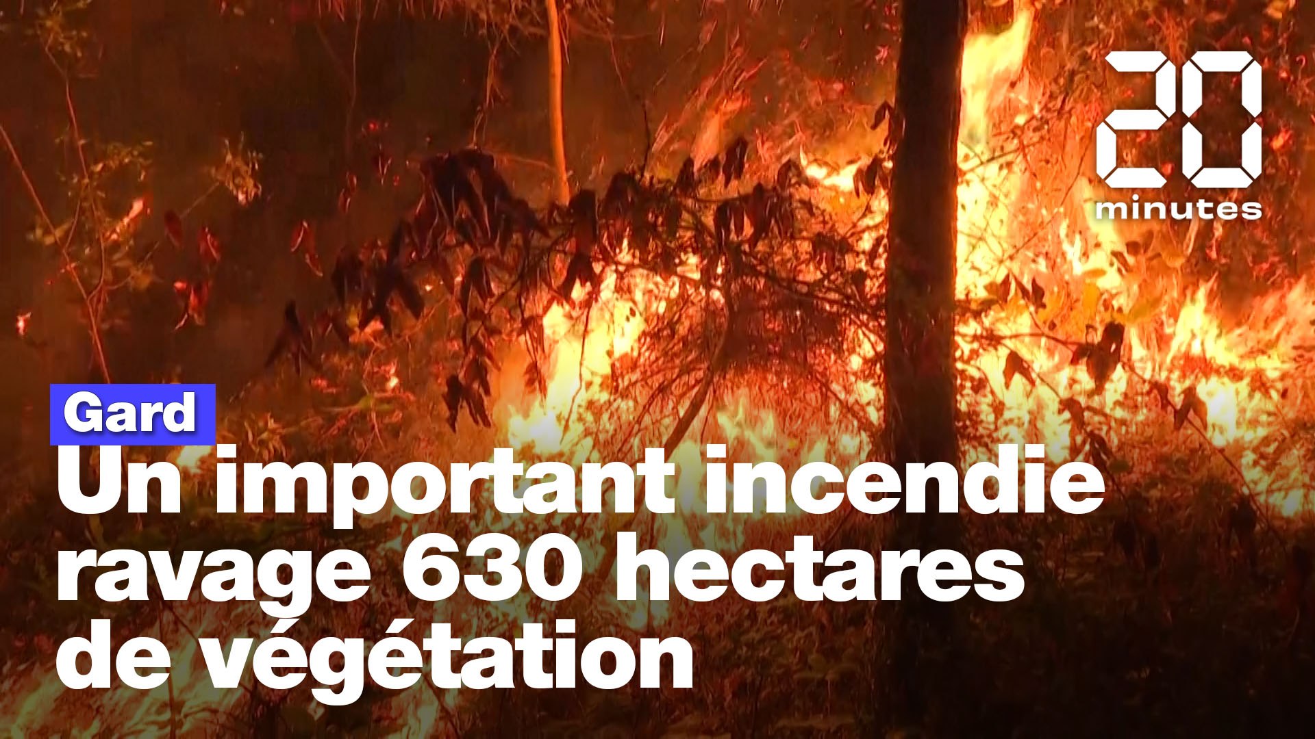 Gard : Un incendie ravage plus de 600 hectares de végétation - Vidéo  Dailymotion