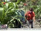Carabobo | Comunidad La Huerta impulsa 20 patios productivos para Mi CLAP es Productivo