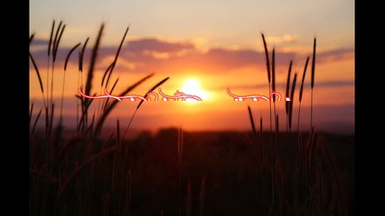 seni sederhana untuk melukis luka