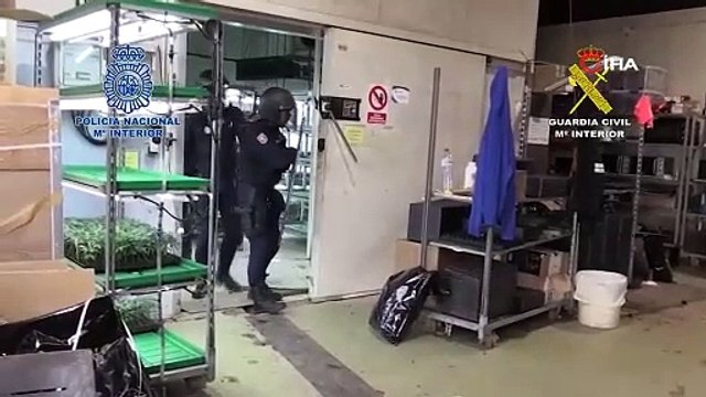 İspanya’da 6 ton esrar ele geçirildi