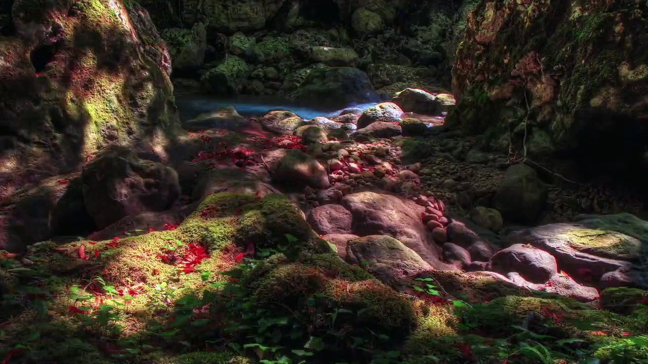 FLEX- Smart Camera Gadget for Creative Photography by MIOPS