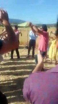 Άγριες Μέλισσες: Απίθανο βίντεο! Προύσαλης και Δέσπω σε έναν χορό που καταχειροκροτήθηκε