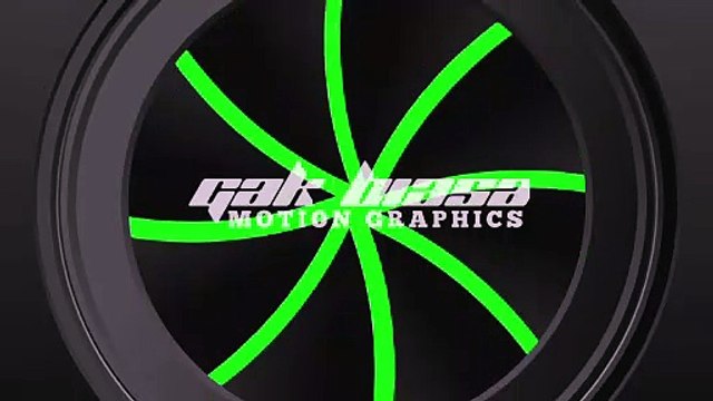 Green screen effect camera