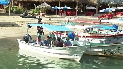 Basura en Boca de Tomatlán, un problema intermunicipal | CPS Noticias Puerto Vallarta